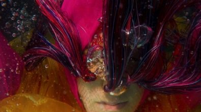 FRAME-BROTA-Leticia-Coelho-930x620